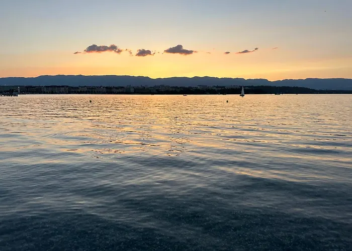 Geneve Magnifique Appartemens Aux Eaux Vives