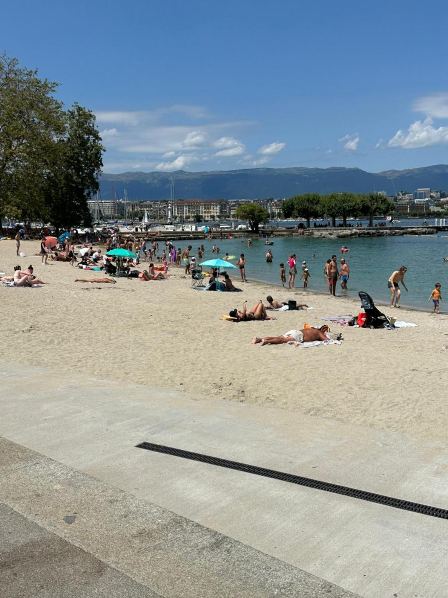 Magnifique Appartemens Aux Eaux Vives * Ginevra